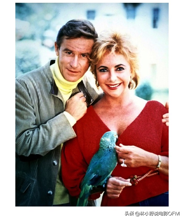 阳光下的罪恶和尼罗河惨案演员,阳光下的罪恶人物