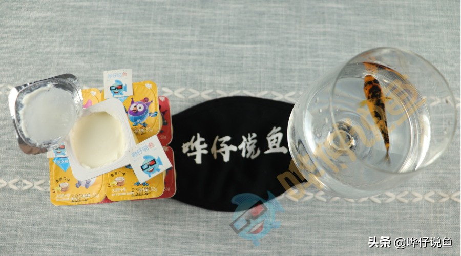鱼缸倒酸奶鱼会不会死,鱼缸倒进去酸奶鱼能活吗
