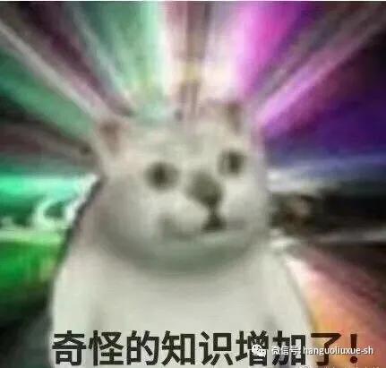 ｛韩国冷知识｝“多喝冷水”韩国小姐姐冬天光腿的终极奥秘是？！