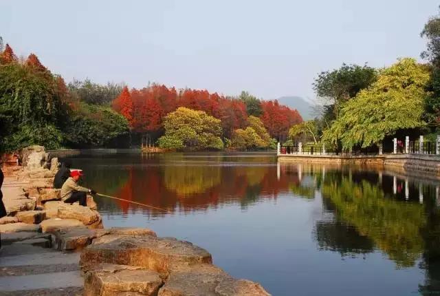 五一广东游玩攻略人少,五一广东免费的旅游景点