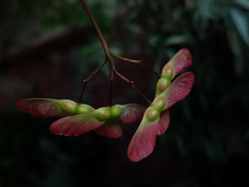 手拍世界,手拍世界作品专集