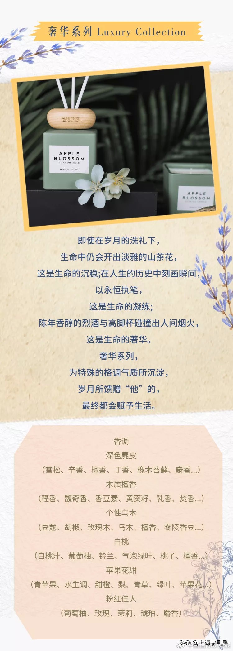 摩登秀简介,摩登秀中式