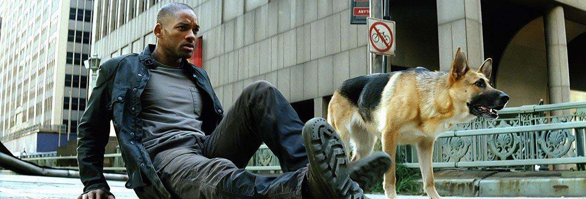 看过的第一部丧尸电影,丧尸片无尿点