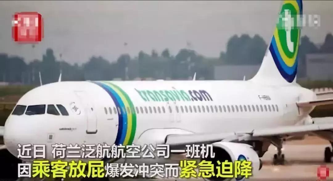 2019年奇葩的沙雕新闻都有哪些,2018年外国奇葩沙雕新闻