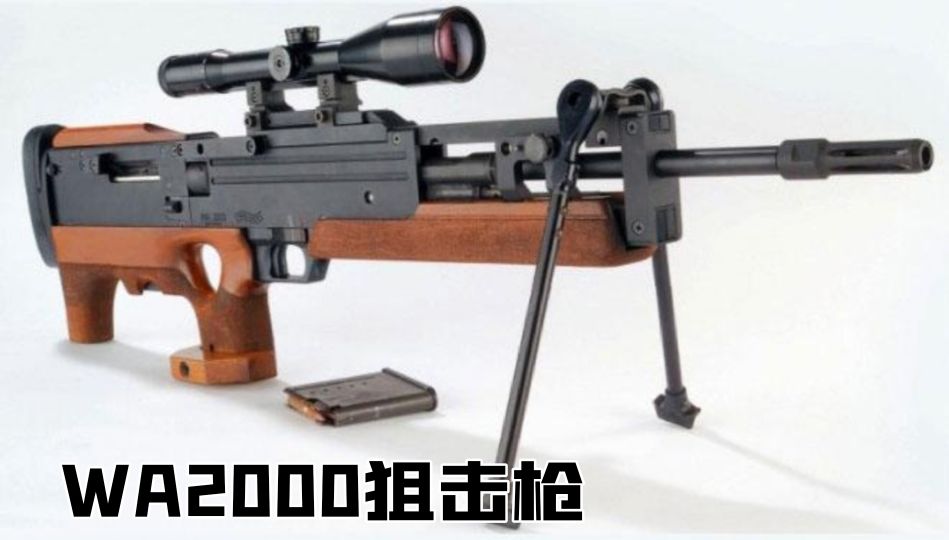 英国枪史图册全篇,德国枪图片