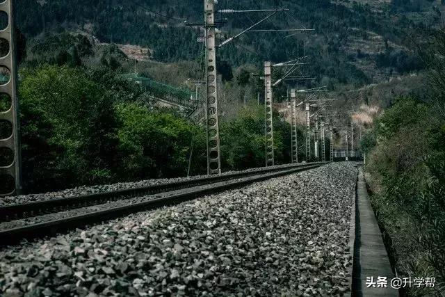 成都看花玩水,成都春游看花