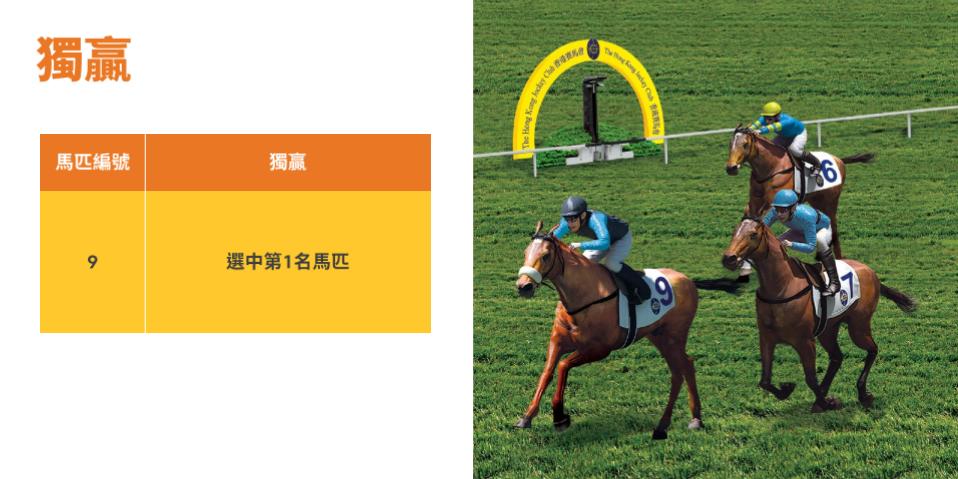 看到香港人玩赛马却不知道怎么玩，半小时教会你！