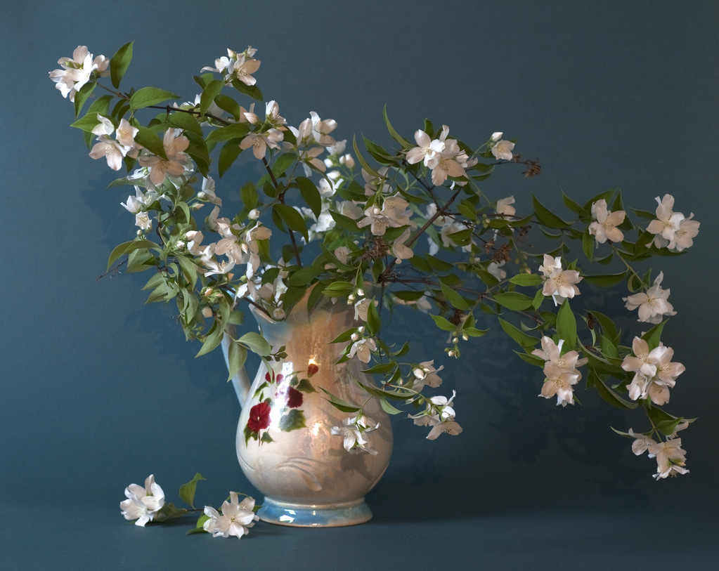 哪种单方精油最好闻,好闻的香熏精油有哪些