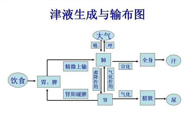 便秘都是上火吗？教你正确使用通便的中成药！