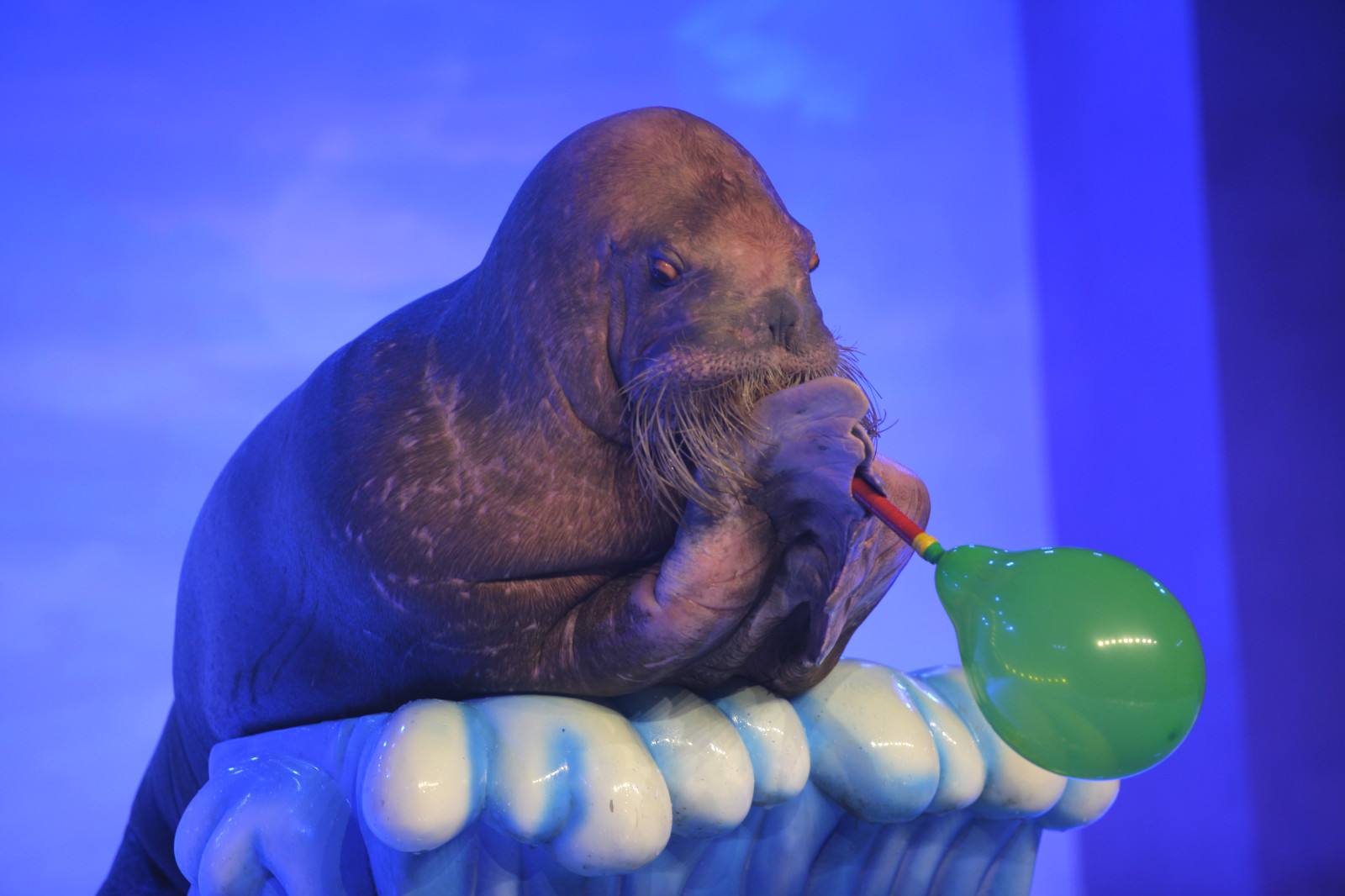 哈尔滨适合老人旅游的景点,哈尔滨十佳景区