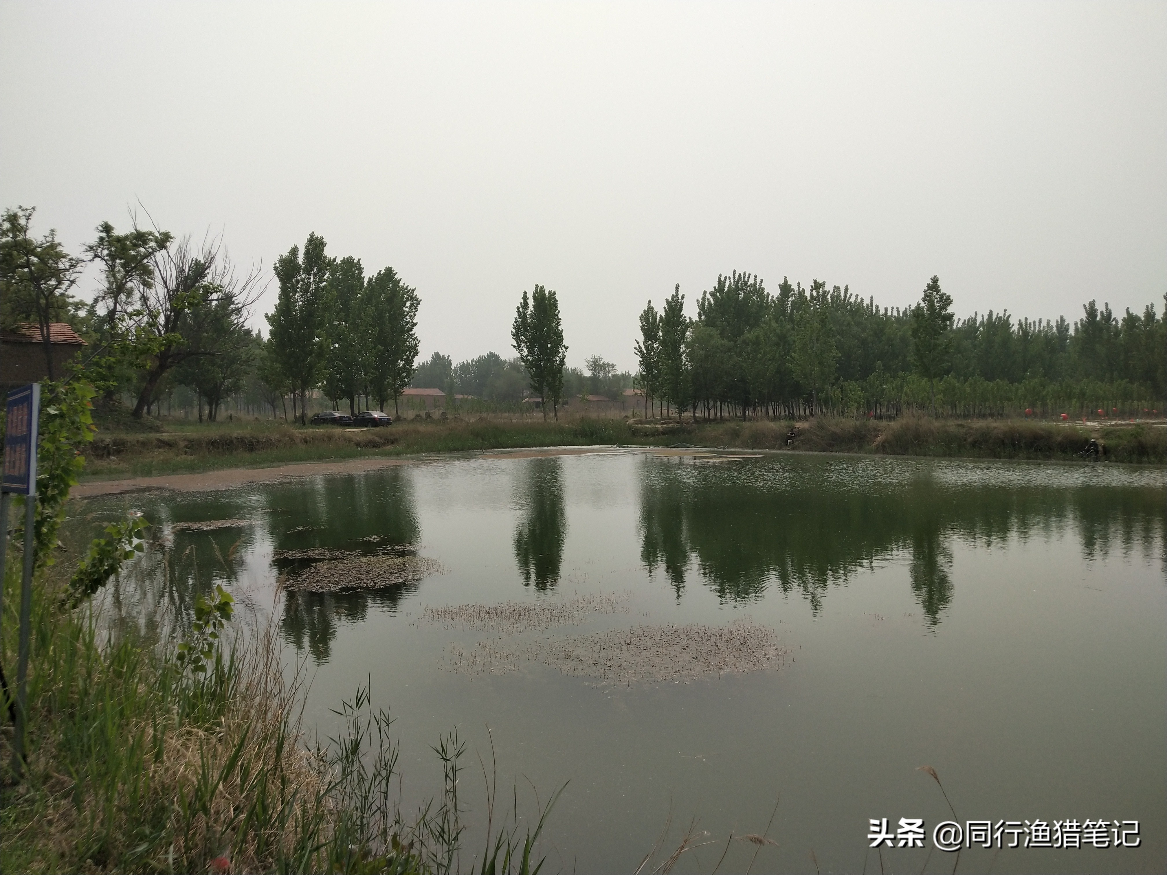 肥水缺氧鱼上浮不开口怎么钓,水肥鱼口不好