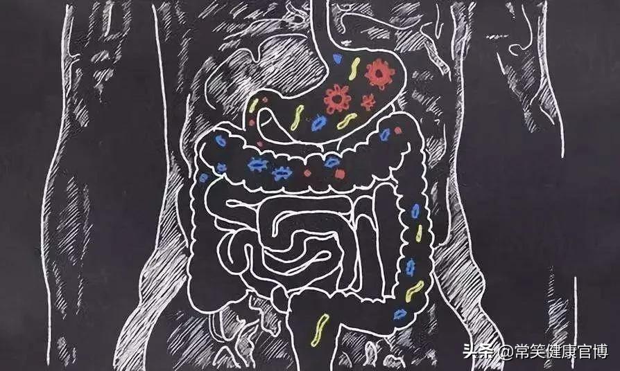 拉稀吃抗生素就便秘用啥中药好,用了抗生素拉肚子怎么办