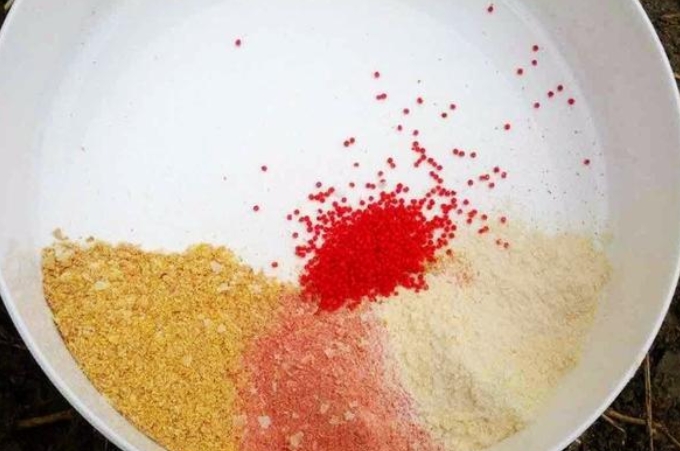 酒米窝料主要诱鱼的材料,窝料是怎么诱鱼的