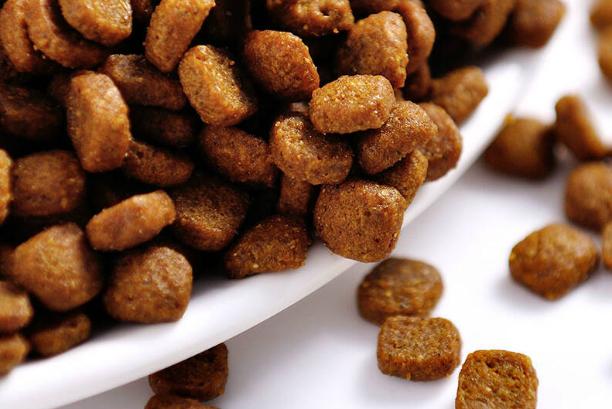 狗粮怎么挑选平价国产狗粮篇,如何帮狗狗挑选狗粮看配料表