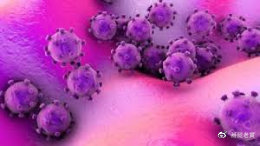 新型冠状病毒和冠状病毒如何区分,冠状病毒的介绍