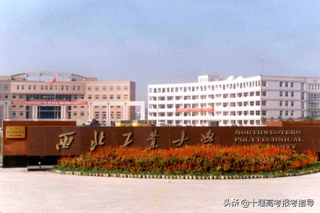 十堰星尚教育机构,十堰大学星尚教育专业介绍