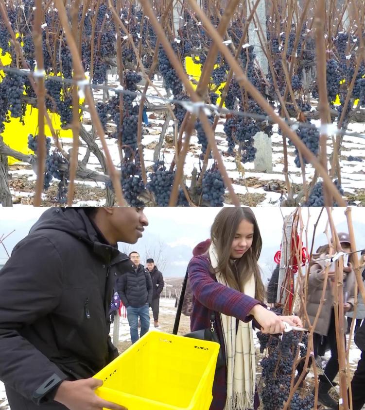 东北人才懂,东北人才懂的味道