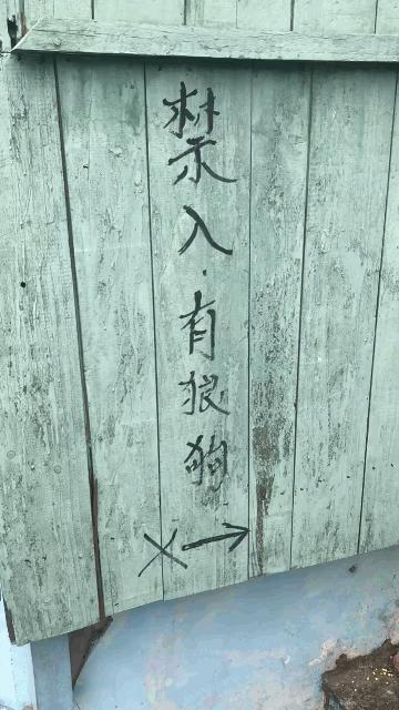 喝醉了第二天醒来精神很好,喝醉酒了第二天再喝一杯