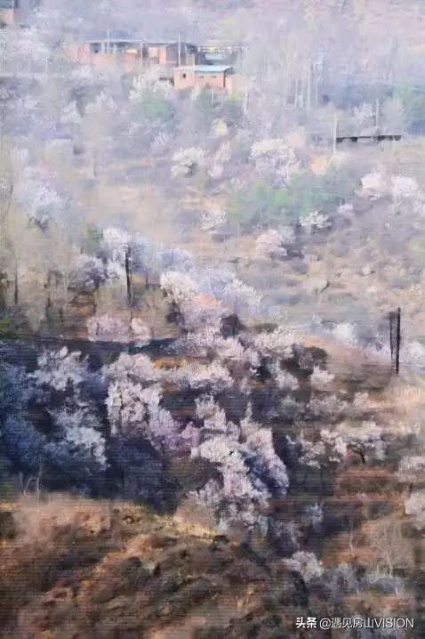 人间四月芳菲天,最美春天在房山——蒲洼行记