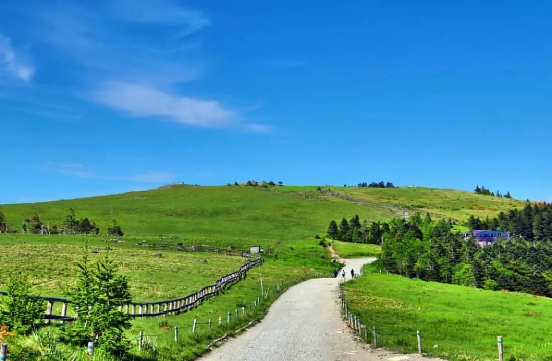 日本长野县旅行,日本长野赏樱旅游攻略