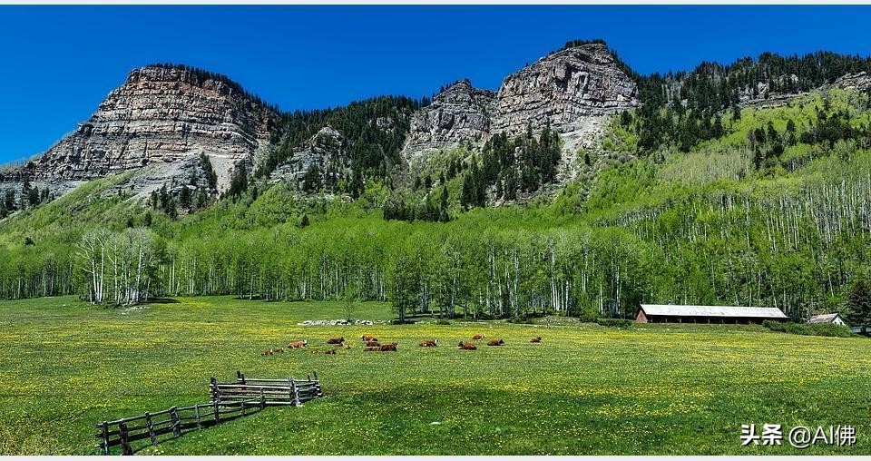 美国农田最多的州,美国哪个州的农场土地肥沃