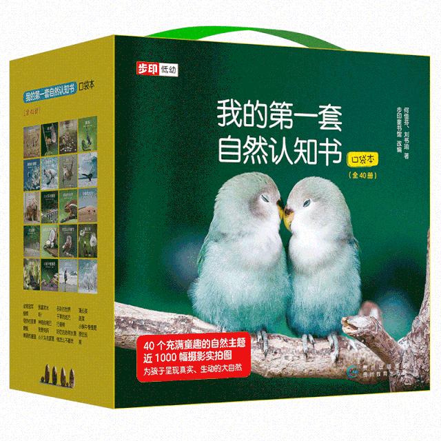 入园必备！10套热门幼儿启蒙书籍，公文七田真逻辑狗，疯狂热卖