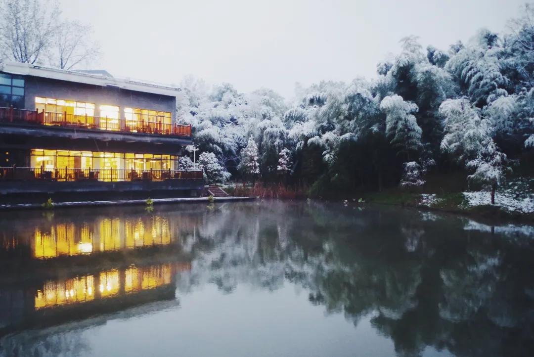 审计署上海特派办审计人风采,审计是个全能型人才