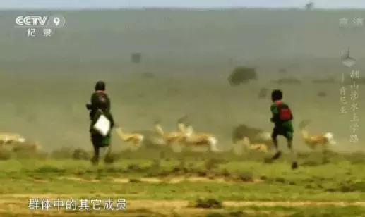 孩子不想上学去四个地方看一看,孩子不想上学就带他去这4个地方