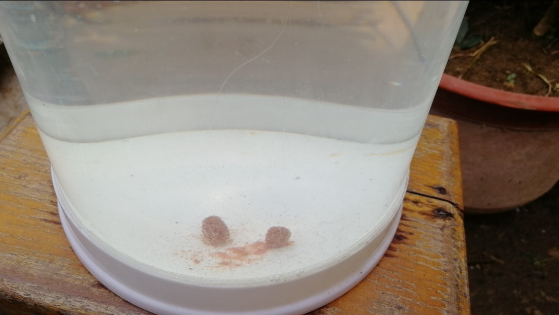 全网最快调漂不接受反驳,五步调漂的正确方法与技巧