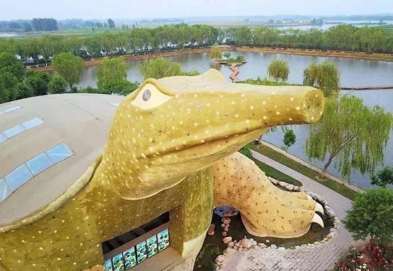 许家印120亿打造莲花形足球场,许家印恒大足球专业足球场