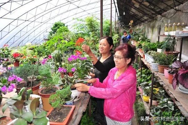 农村不愁销路的10个小生意,现在农村有什么比较好的赚钱门路