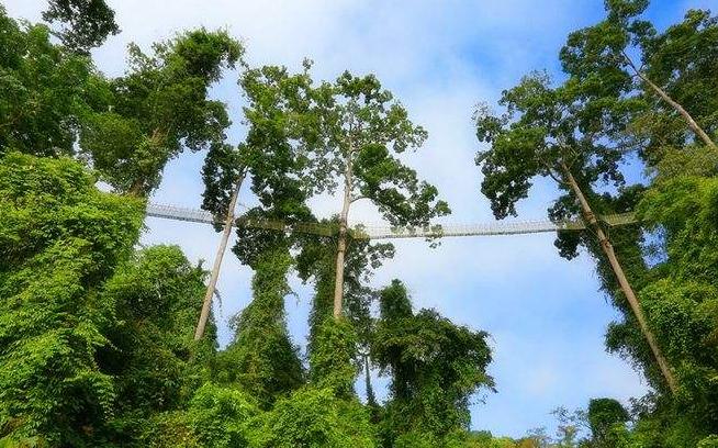 美丽的西双版纳的泼水节视频,西双版纳的泼水节中的傣妹