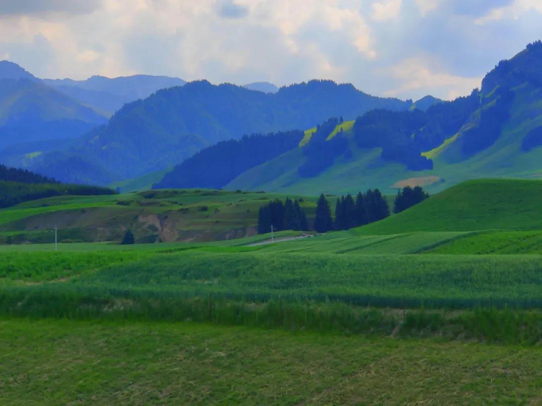 春节吉木萨尔周边游,6月份吉木萨尔周边一日自驾游