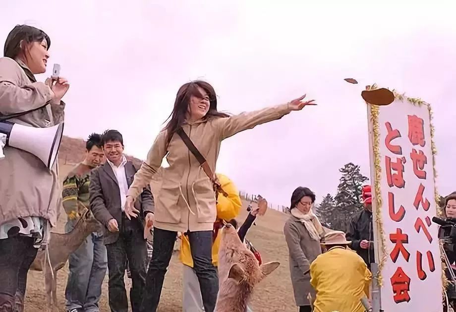 为了一群鹿而去一座城!日本奈良如何从“穷乡下”逆袭...