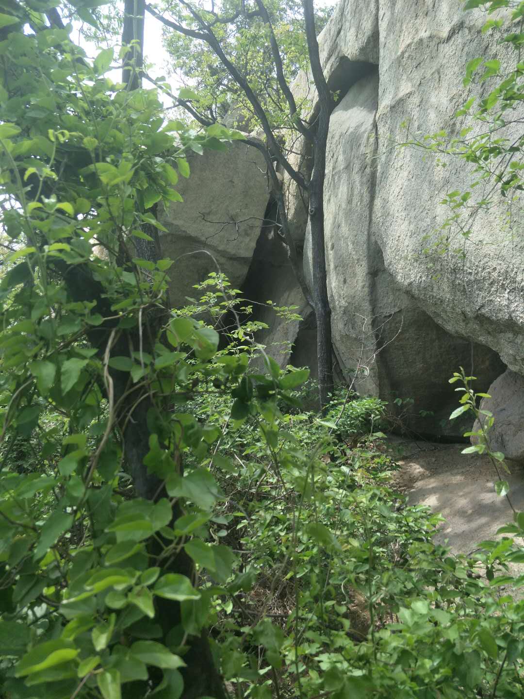 踏春五宝庵风景,踏春五宝庵山在哪里