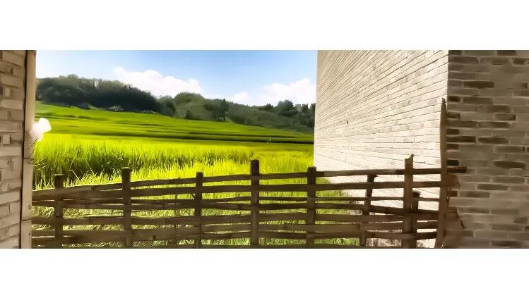 织金皂角米,单荚皂角米