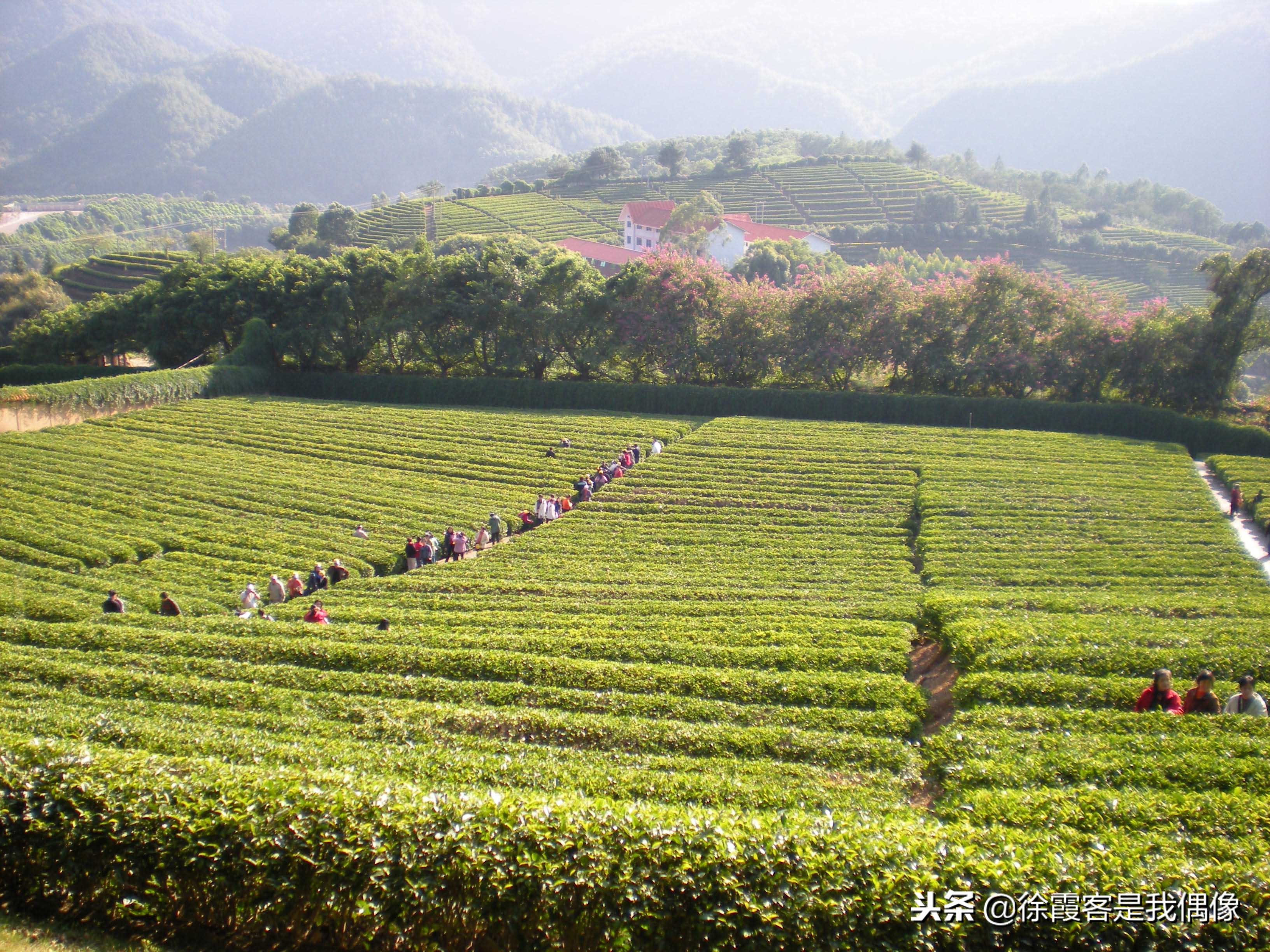 这才是广东最美旅游路段,广东省十大风景公路图片