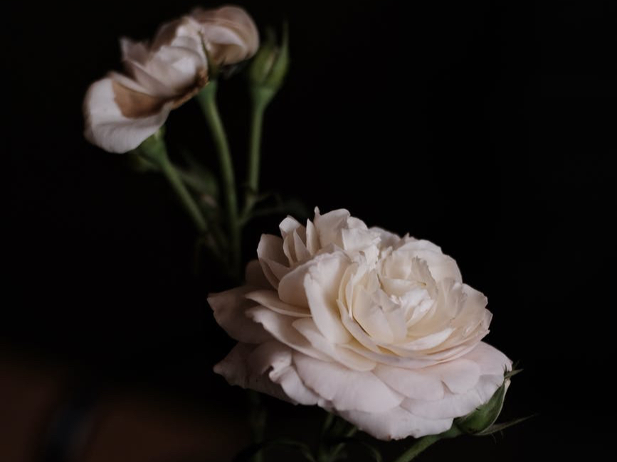 “不结婚,老了是不是真的很惨”,三个独居老人说出了实情