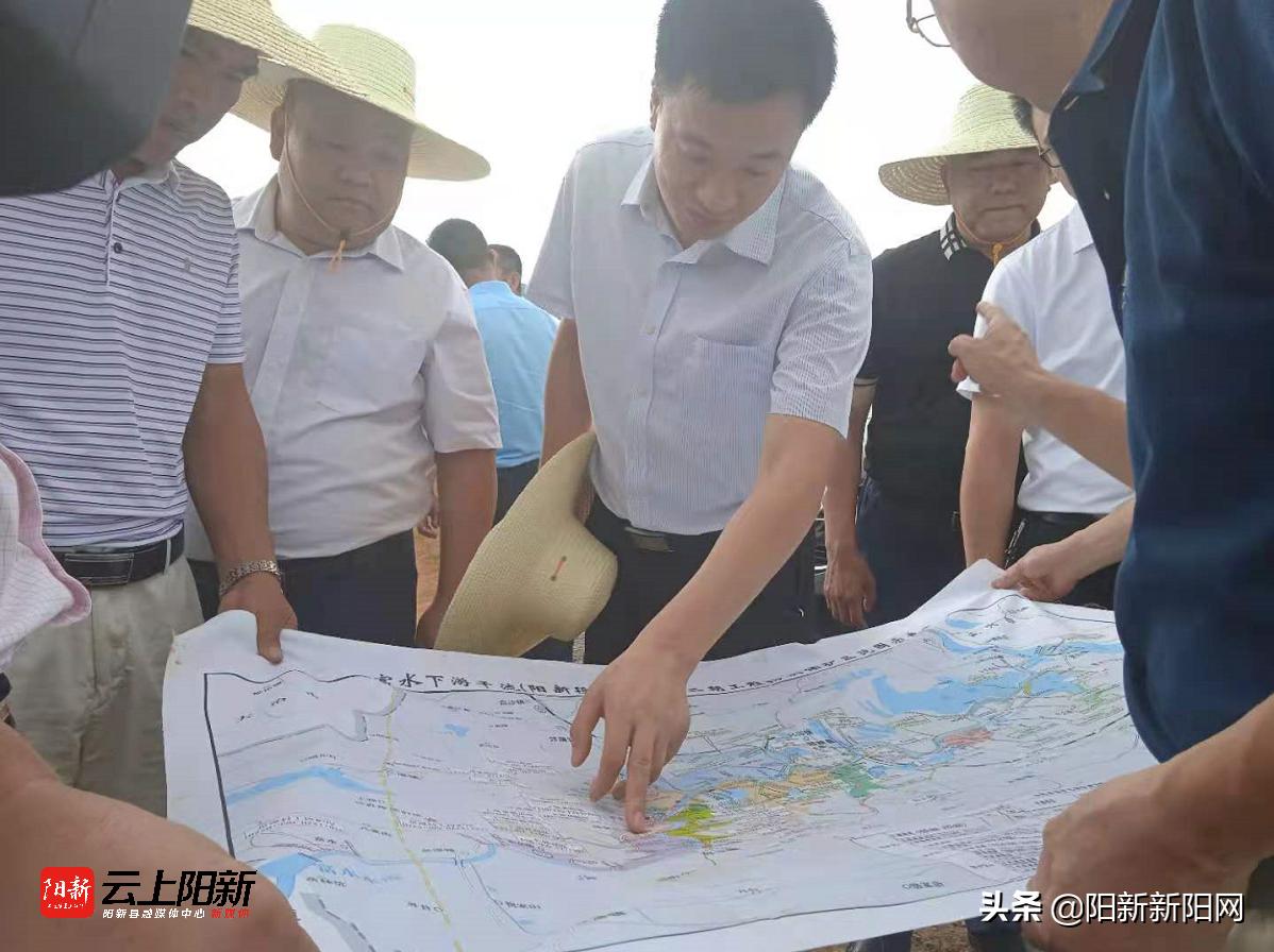 阳新新闻万鼎调研乡村振兴工作,阳新新闻万鼎