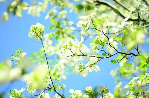 适合发朋友圈感悟情感短句子说说,励志情感语录句句唯美文艺