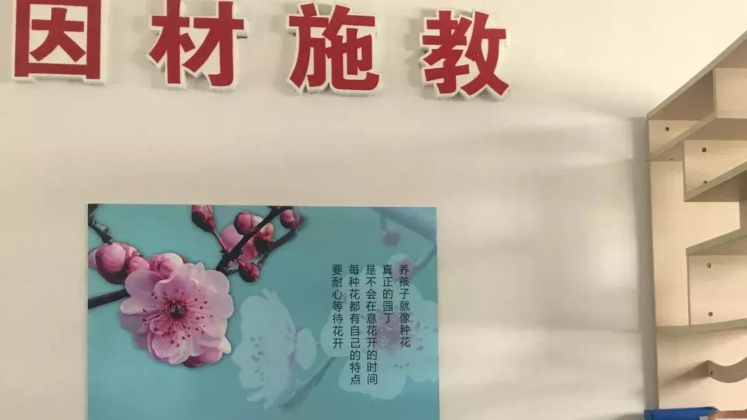 学编程要学操机吗,学编程用什么操作系统