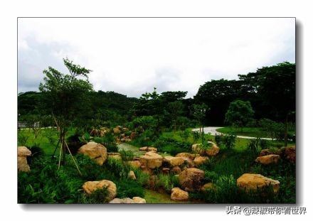 祖国大好河山深圳,深圳之无限风光