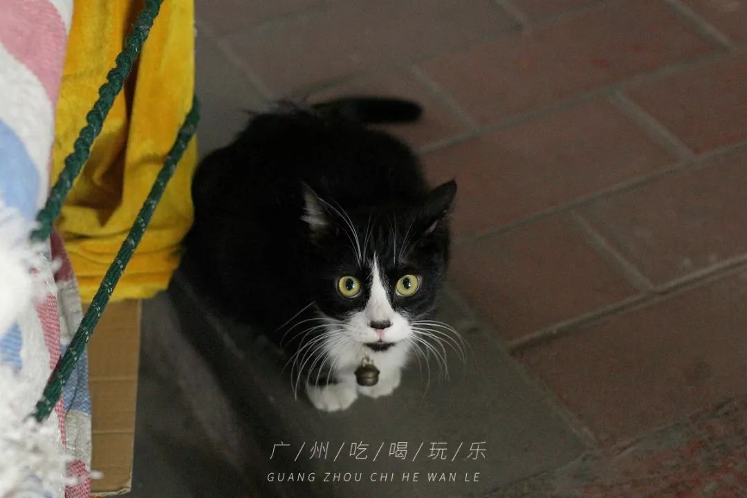 旧货市场机械胶片相机,120块的理光傻瓜胶片相机