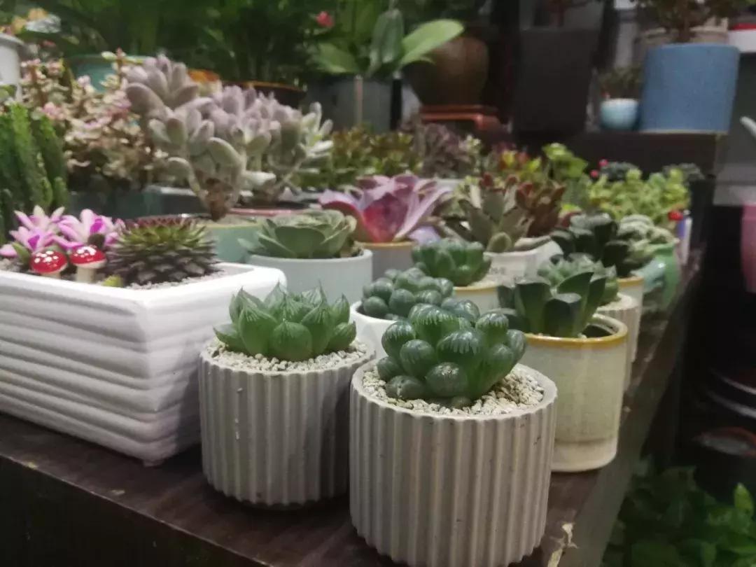 今年开花店能赚钱吗,开花店多长时间能赚钱