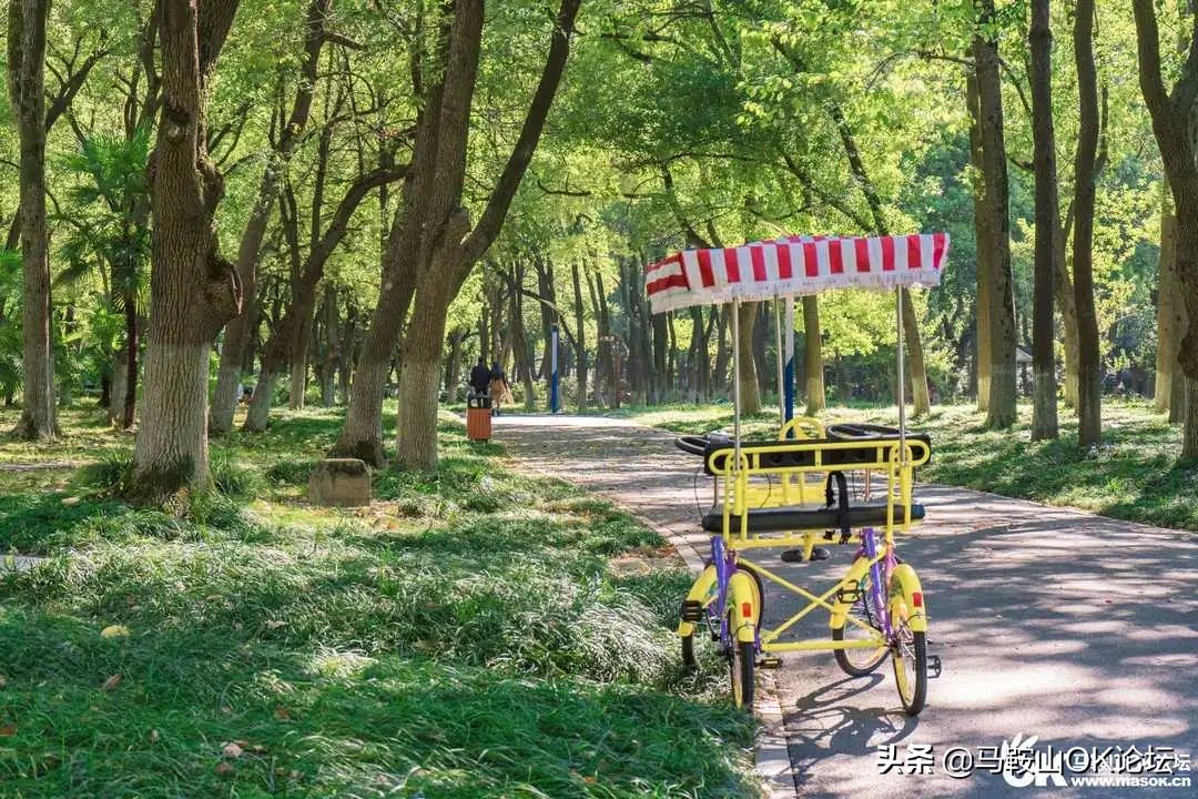 唰，就绿了！马鞍山夏天的n+1种样子