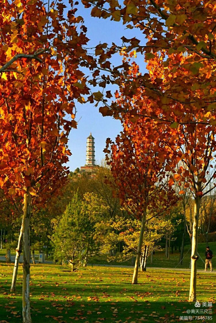 玉泉山北坞公园介绍,北坞村玉泉山