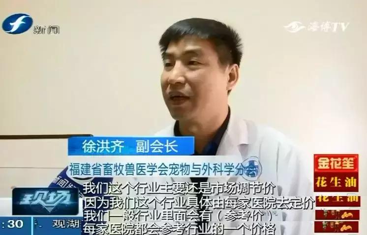 鍝瀹犵墿鍖婚櫌姝h涓嶄贡鏀惰垂,鏇濆厜瀹犵墿琛屼笟榛戝箷