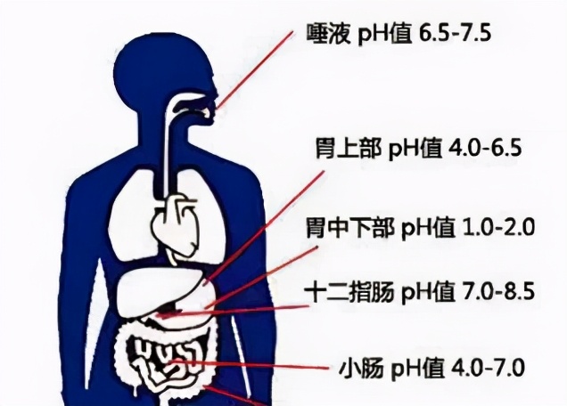 农夫山泉广告我们不生产水,农夫山泉我们不生产水广告原版