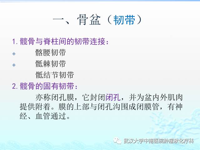 女性盆腔解剖与断层影像