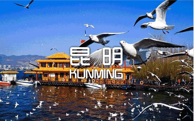 昆明的世外桃源,昆明古朴中式禅意小院